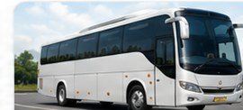 Buses